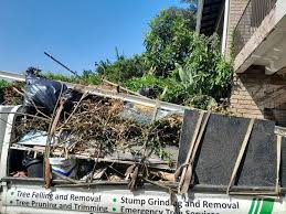 Best Demolition Debris Removal  in Lake Wylie, SC